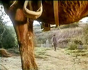 The Wolves up front, the Jackals behind (3) - The Virginian.