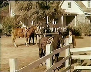 Timberland (4) - The Virginian.