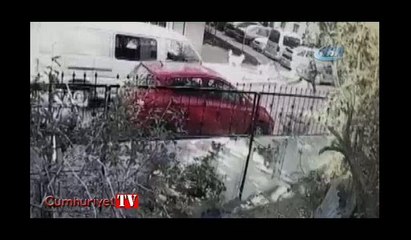 Sokak köpeğine saldıran pitbullu tasmayla vurarak ayırmaya çalıştı