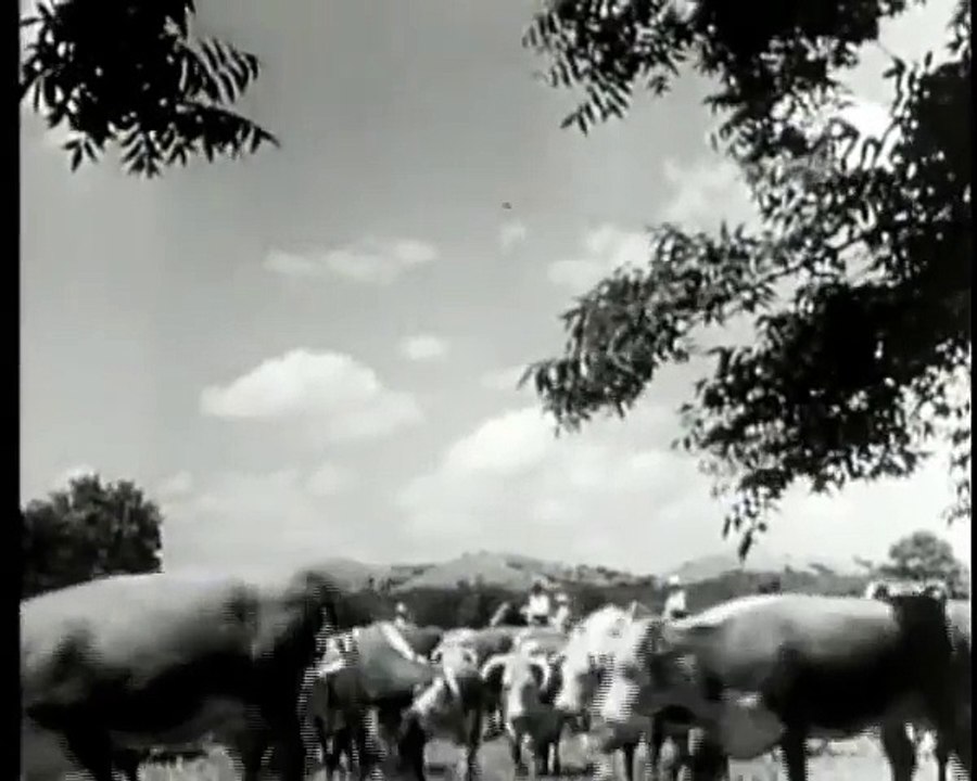 Tom Horn (1) - Stories of the Century.