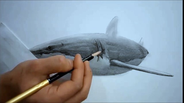 연필그림 - 동물(상어)그리기 [Drawing a shark / Pencil sketch]