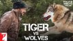 Making_of_Tiger_vs_Wolves___Tiger_Zinda_Hai___Salman_Khan___Katrina_Kaif___Ali_A(1)