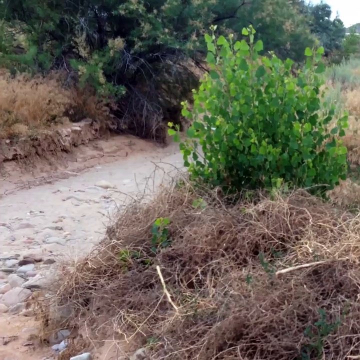 Ces 2 hommes attendent quelques chose dans ce lit de rivière à sec.. Mais quoi?? Incroyable
