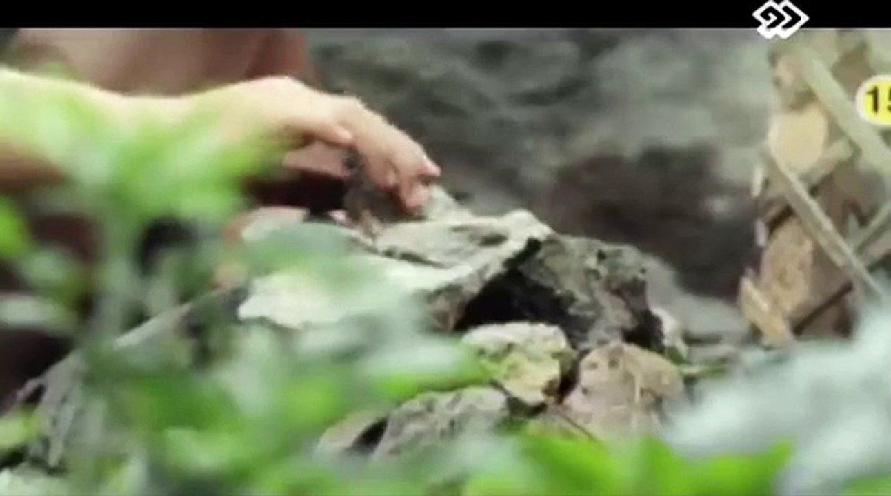 A_D Epi-2_clip1