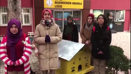 Öğrencilerden sokak kedilerine sıcak yuva - ÇORUM