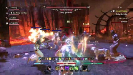 DonAleszandro The Elder Scrolls «-Gesegnete Feuerprobe mit Don Animal Guard-» (571)