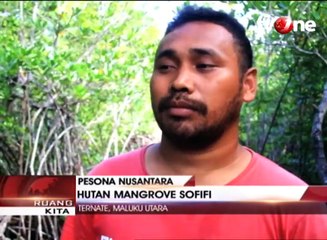 Indahnya Hutan Mangrove Sofifi di Ternate