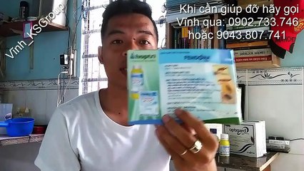 Hướng dẫn diệt côn trùng - Muỗi Kiến Gián - Pest Control