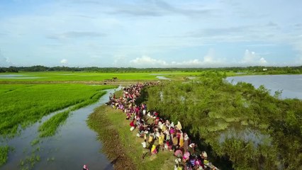 UNICEF alerta sobre la violencia que sufren los niños