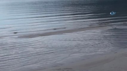 Gökova Körfezinde Gel-git Olayları Devam Ediyor