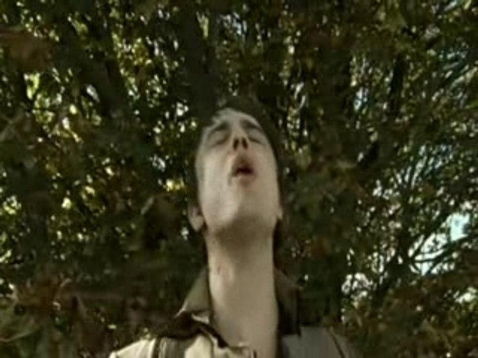 BabyShambles You Talk