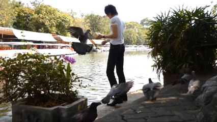 名古屋ホストとバンコク旅行,タイの動物園,亀,bangkok travel