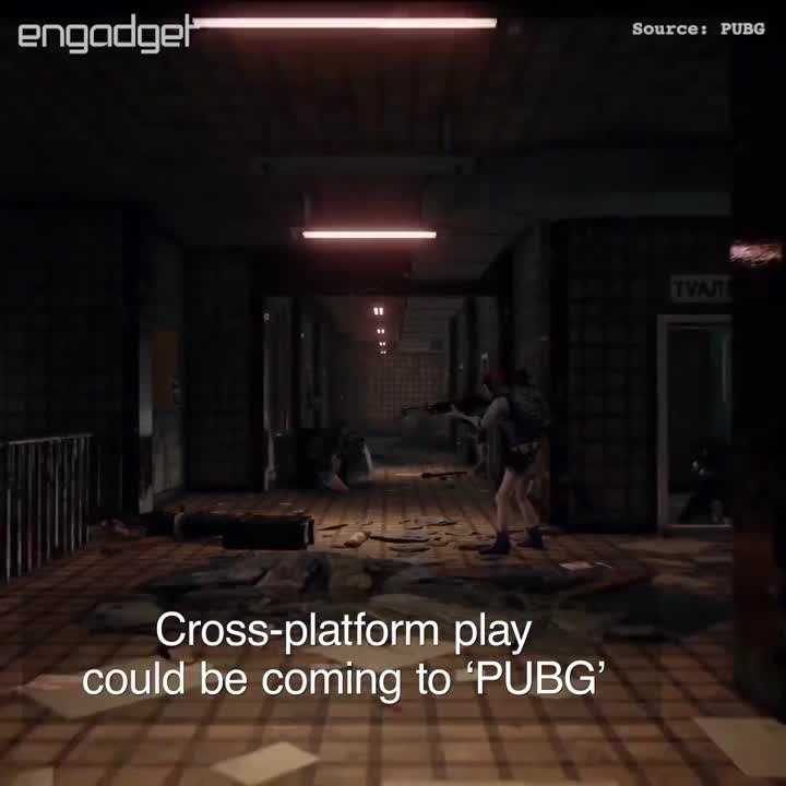 PUBG's future