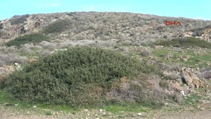 Muğla-Bodrum'da 'Meralar Halka Kalsın' Eylemi