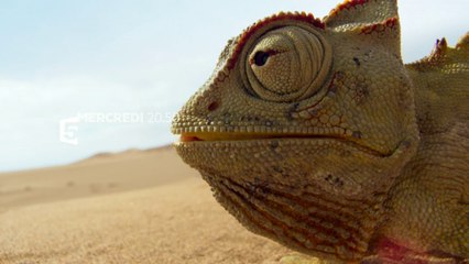 [BA] Planète Terre : terres arides - 03/01