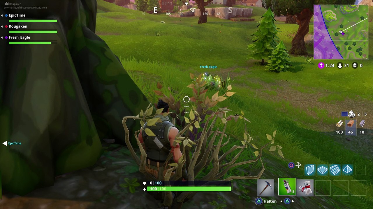 Fortnite_Übersehen?