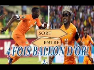 AMIRAL ENK2K ÉLÉPHANT REMPLAÇANT