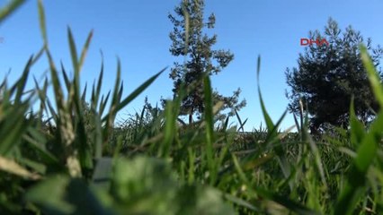 Kocaeli Fatih Sultan'ın Otağının Erzincan Eğitim ve Kültür Vakfı'na Verilmesine Tepki