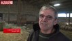 Congrès FNO Rodez : ovins viande bio, pâturage et vente directe