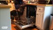 Les tâches ménagères sont tellement plus faciles quand un chien nous aide à les faire