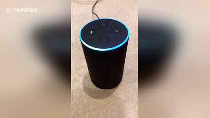 Here is Amazon Alexa's favourite Christmas song