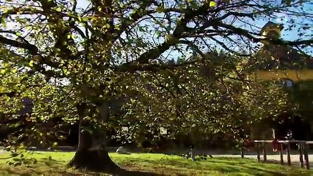 Sturm der Liebe 2838 folge