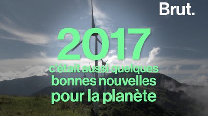 Les bonnes nouvelles pour la planète en 2017