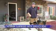 Veteran Who Lost Both Legs in IED Explosion Surprised With Service Dog