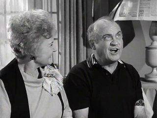 My Favorite Martian S1 E15 "Poor Little Rich Cat"