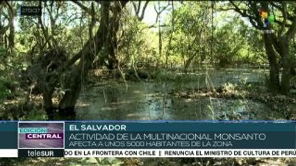 El Salvador: comunidades exigen cese al uso de agrotóxicos