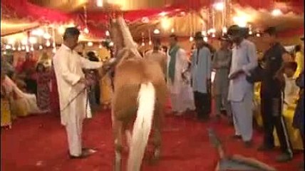 Horse dance ghora nach  in Attock pakistan