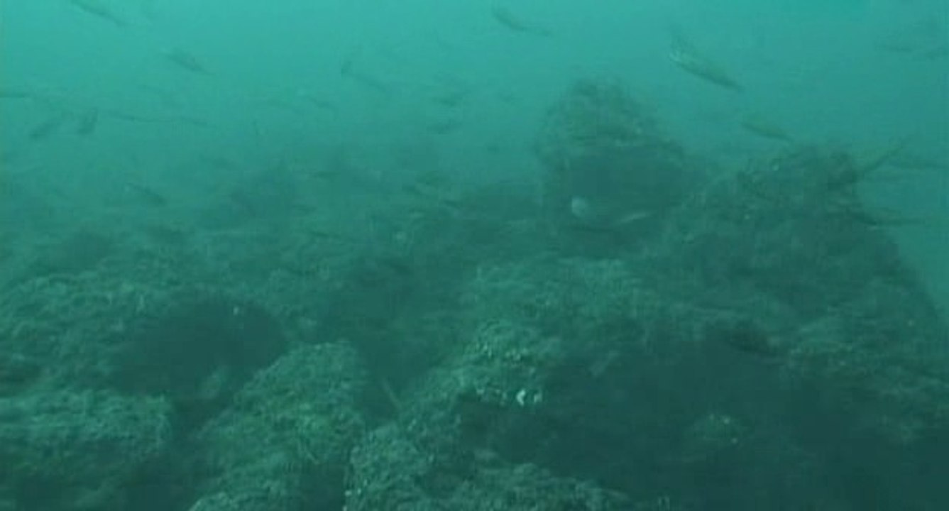 Die letzten Nixen – die Taucherinnen von Cheju