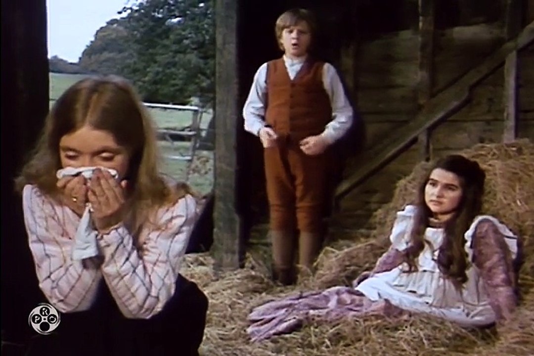 The Adventures of Black Beauty "Wild Justice" S1 E24