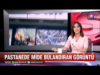 Pastane vitirininde kalite kontrol çalışması yapan lağım faresi