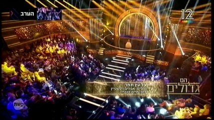 הם גדולים עם אלי יצפאן - אמיליה - צל עץ תמר