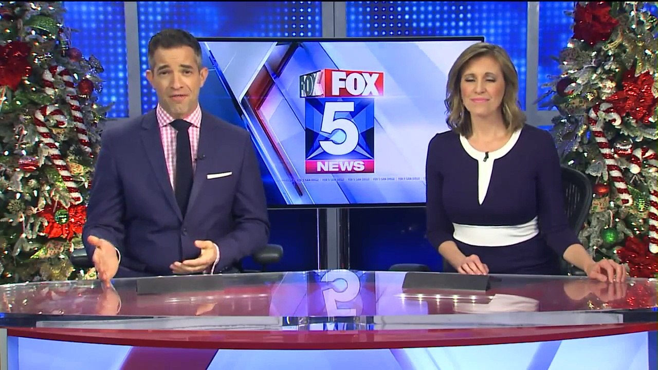 Tiger Cub, 5 Bears Rescued by Exotic Rescue Group