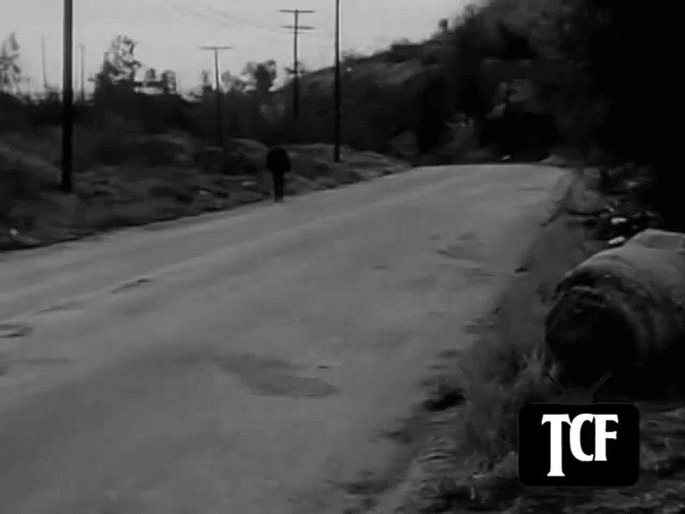 Highway Patrol 64 in Hitchhiker