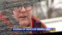 Windows on Dozens of Vehicles Shattered by Vandals Using BB, Pellet Guns in Wisconsin
