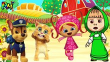 Wrong Eyes Masha Team Umizoomi Paw Patr