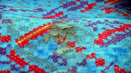 Obsessive Compulsive Cleaners - Bus Seats