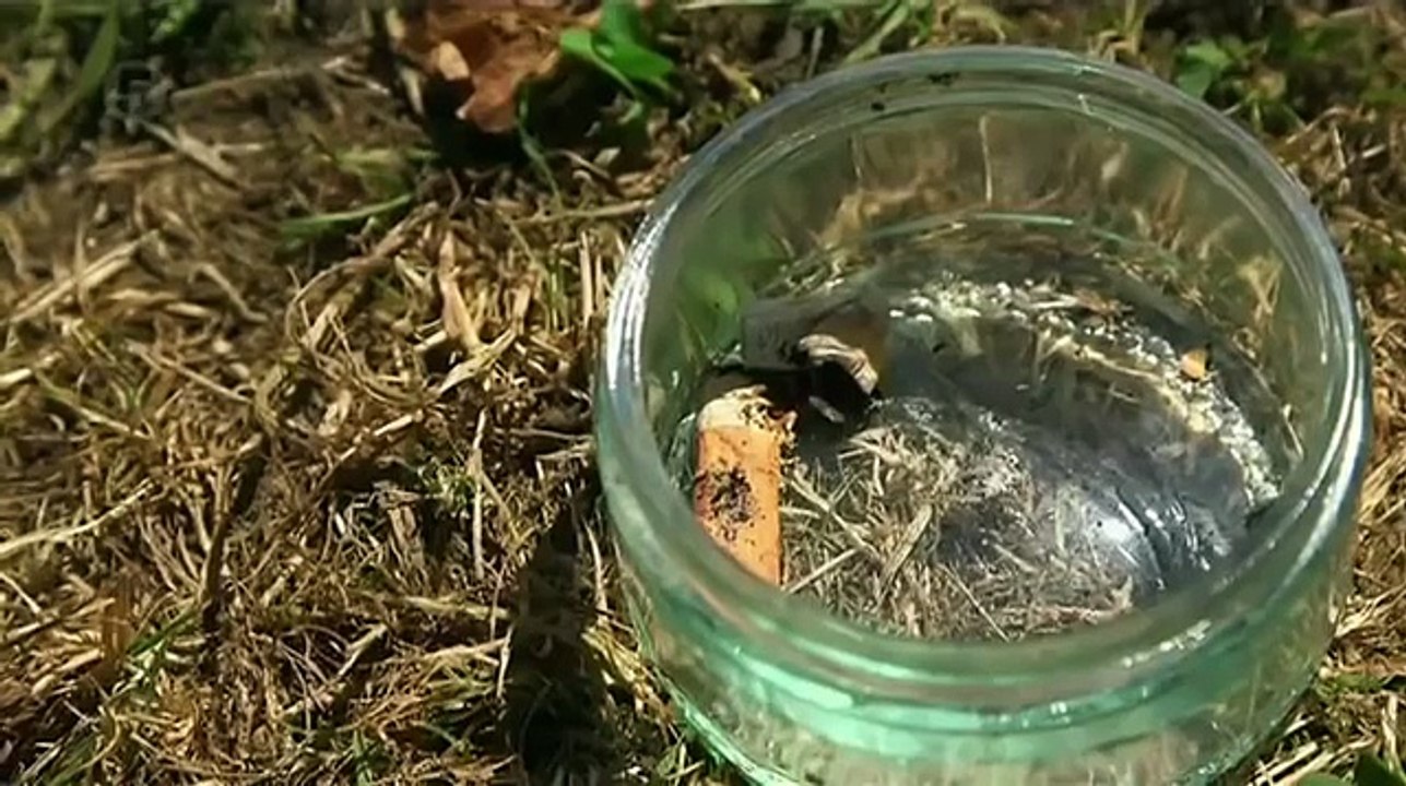 The Nightmare Neighbour Next Door S04E06