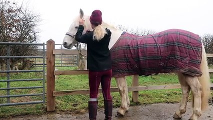 Vlogmas | Dressage and Casper rolling A LOT! | This Esme