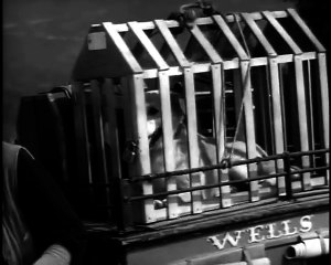 Hank (a.k.a.Chips) - Tales of Wells Fargo.