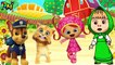 Wrong Eyes Masha Team Umizoomi Paw Patrol Talking Ginger The Alphabet Song Nursery Rhymes for kids-