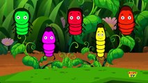 Five Little Caterpillars Nursery Rhymes