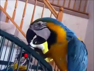 How Clean is Your House - Beauty Queen Clean