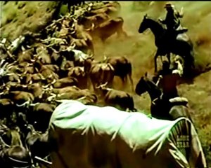 The Gauntlet (2) - The Virginian .