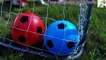 Learn Colors with Balls for Children, Toddlers and Babies _ Colours with Soccer Balls-U8W