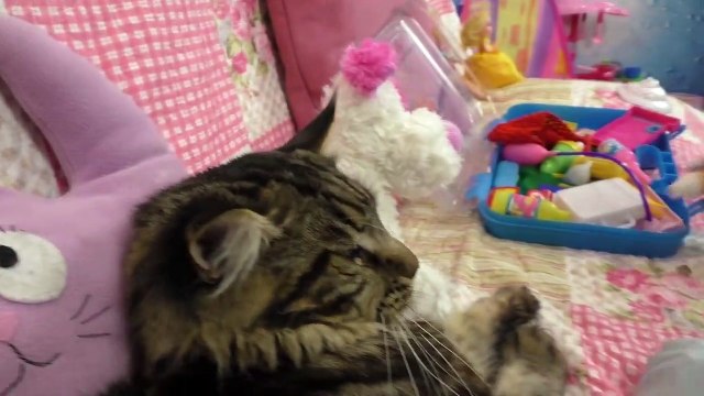 Укусил ПАУК! Делаем УКОЛ в попу Играем в доктора �