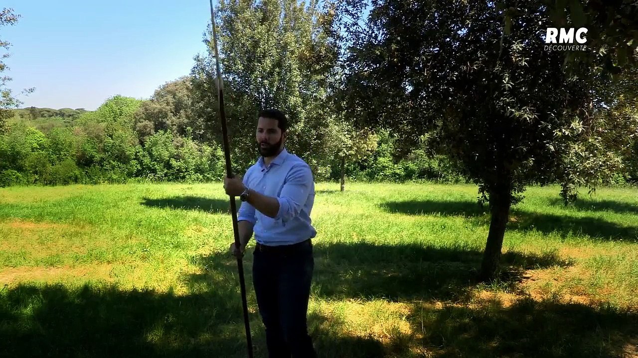Histoire